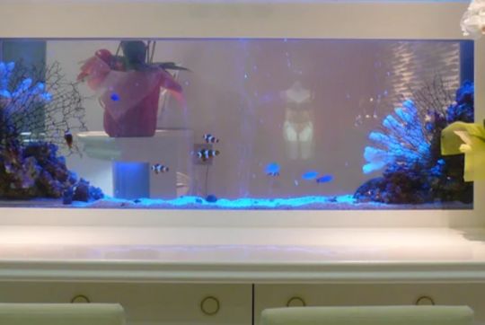 卓上のデザイナーズ水槽