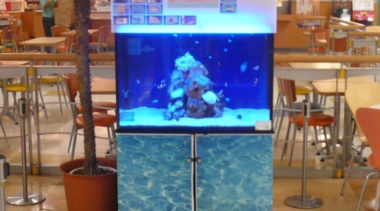移動可能デザイナーズ水槽